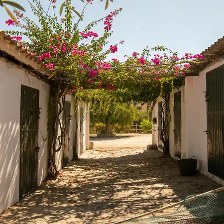 El Carmen Сasa de vacaciones *
